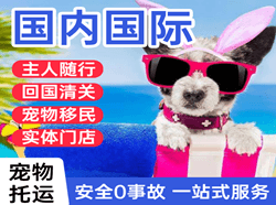 莎车叶尔羌机场货运国际宠物托运 【国